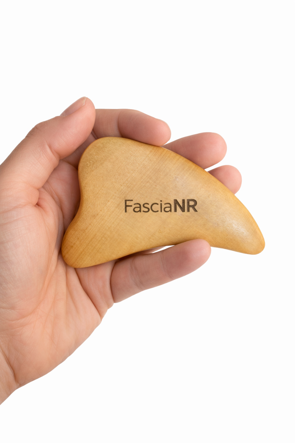 FasciaNR Santelipuu
